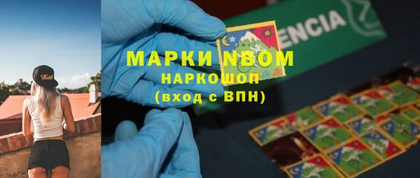 гидра Кинешма