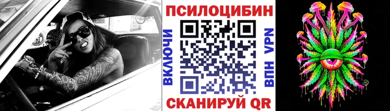 Галлюциногенные грибы мицелий  Купить  Грайворон 